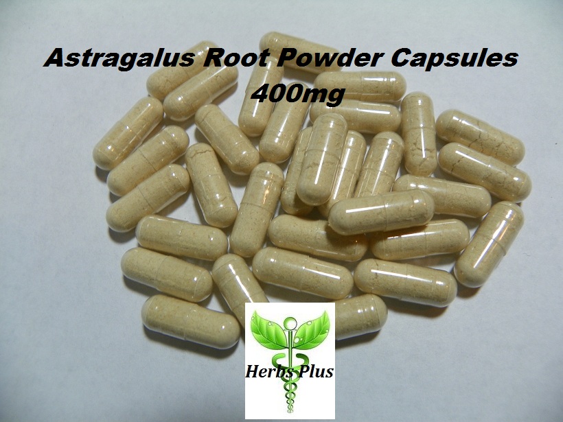 Astragalus Root Powder Capsules - Organic